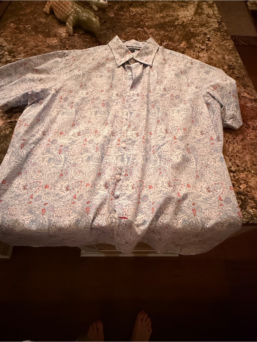 Cremieux Men's Paisley Button-Up Shirt in Light Blue and White